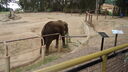 Filename=DSC03992.JPG
Filesize=335KiB
Dimensions=1080x608
Date added=Mar 26, 2024 DSC03992.JPG