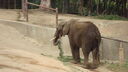 Filename=DSC03996.JPG
Filesize=291KiB
Dimensions=1080x608
Date added=Mar 26, 2024 DSC03996.JPG