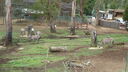 Filename=DSC03999.JPG
Filesize=363KiB
Dimensions=1080x608
Date added=Mar 26, 2024 DSC03999.JPG