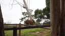 Filename=DSC04001.JPG
Filesize=308KiB
Dimensions=1080x608
Date added=Mar 26, 2024 DSC04001.JPG