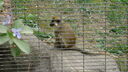 Filename=DSC04024.JPG
Filesize=331KiB
Dimensions=1080x608
Date added=Mar 26, 2024 DSC04024.JPG