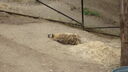 DSC04034.JPG