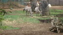 Filename=DSC04037.JPG
Filesize=364KiB
Dimensions=1080x608
Date added=Mar 26, 2024 DSC04037.JPG