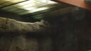 Filename=DSC04040.JPG
Filesize=215KiB
Dimensions=1080x608
Date added=Mar 26, 2024 DSC04040.JPG