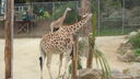 DSC04047.JPG