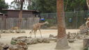Filename=DSC04048.JPG
Filesize=323KiB
Dimensions=1080x608
Date added=Mar 26, 2024 DSC04048.JPG