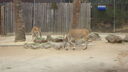 DSC04051.JPG