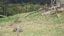 Filename=DSC04059.JPG
Filesize=378KiB
Dimensions=1080x608
Date added=Mar 26, 2024 DSC04059.JPG