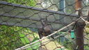 DSC04070.JPG