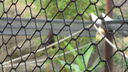 DSC04071.JPG