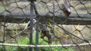 Filename=DSC04072.JPG
Filesize=373KiB
Dimensions=1080x608
Date added=Mar 26, 2024 DSC04072.JPG