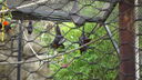 Filename=DSC04075.JPG
Filesize=378KiB
Dimensions=1080x608
Date added=Mar 26, 2024 DSC04075.JPG