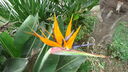 DSC04076.JPG