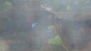 DSC04086.JPG