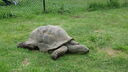 Filename=DSC04103.JPG
Filesize=351KiB
Dimensions=1080x608
Date added=Mar 26, 2024 DSC04103.JPG