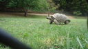 DSC04113.JPG