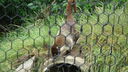 Filename=DSC04116.JPG
Filesize=389KiB
Dimensions=1080x608
Date added=Mar 26, 2024 DSC04116.JPG