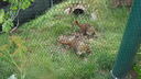 Filename=DSC04118.JPG
Filesize=394KiB
Dimensions=1080x608
Date added=Mar 26, 2024 DSC04118.JPG