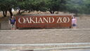 Filename=DSC04123.JPG
Filesize=345KiB
Dimensions=1080x608
Date added=Mar 26, 2024 DSC04123.JPG