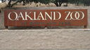 Filename=DSC04124.JPG
Filesize=336KiB
Dimensions=1080x608
Date added=Mar 26, 2024 DSC04124.JPG