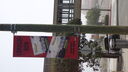 Filename=DSC04133.JPG
Filesize=275KiB
Dimensions=1080x608
Date added=Mar 26, 2024 DSC04133.JPG