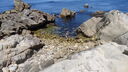 DSC04158.JPG
