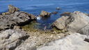 DSC04159.JPG
