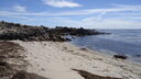 DSC04180.JPG