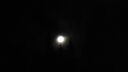 DSC04248.JPG