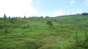 DSC04287.JPG