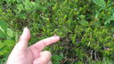 DSC04290.JPG