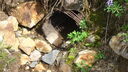 DSC04291.JPG