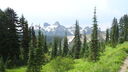 DSC04293.JPG