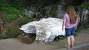 DSC04298.JPG