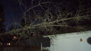 DSC04383.JPG