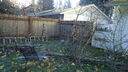 DSC04386.JPG