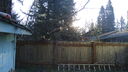 Filename=DSC04388.JPG
Filesize=349KiB
Dimensions=1080x608
Date added=Mar 26, 2024 DSC04388.JPG