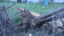 Filename=DSC04393.JPG
Filesize=374KiB
Dimensions=1080x608
Date added=Mar 26, 2024 DSC04393.JPG