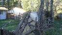 Filename=DSC04395.JPG
Filesize=386KiB
Dimensions=1080x608
Date added=Mar 26, 2024 DSC04395.JPG