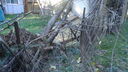 Filename=DSC04396.JPG
Filesize=373KiB
Dimensions=1080x608
Date added=Mar 26, 2024 DSC04396.JPG