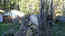 DSC04397.JPG