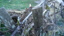DSC04398.JPG