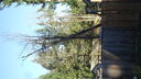 DSC04402.JPG