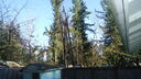 Filename=DSC04406.JPG
Filesize=375KiB
Dimensions=1080x608
Date added=Mar 26, 2024 DSC04406.JPG