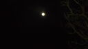DSC04487.JPG