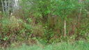 Filename=DSC04519.JPG
Filesize=379KiB
Dimensions=1080x608
Date added=Mar 26, 2024 DSC04519.JPG