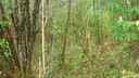 Filename=DSC04522.JPG
Filesize=376KiB
Dimensions=1080x608
Date added=Mar 26, 2024 DSC04522.JPG
