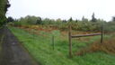 DSC04527.JPG