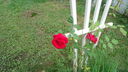 Filename=DSC04560.JPG
Filesize=384KiB
Dimensions=1080x608
Date added=Mar 26, 2024 DSC04560.JPG
