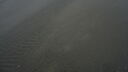 Filename=DSC04601.JPG
Filesize=145KiB
Dimensions=1080x608
Date added=Mar 26, 2024 DSC04601.JPG